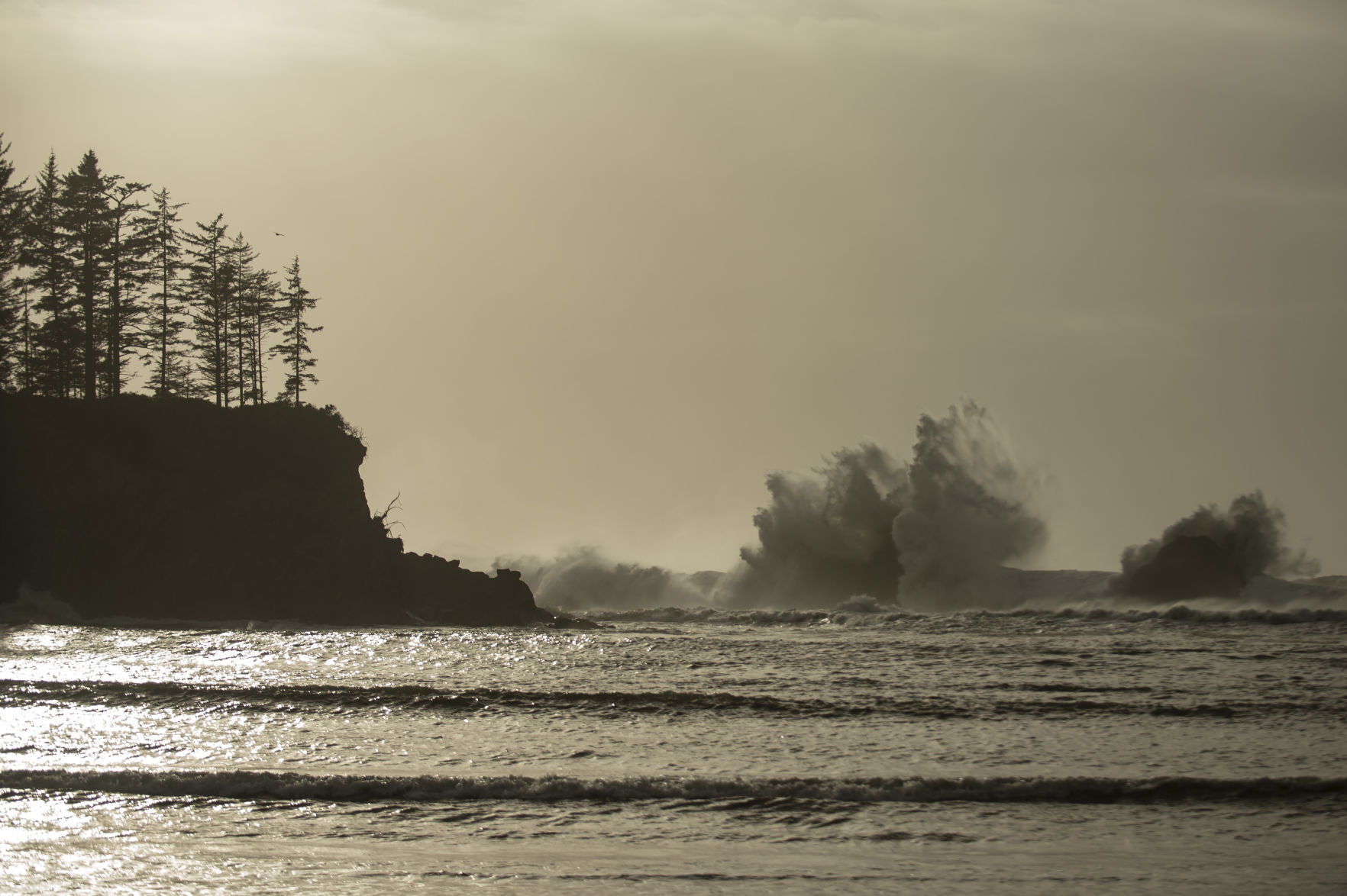 High Surf Advisory